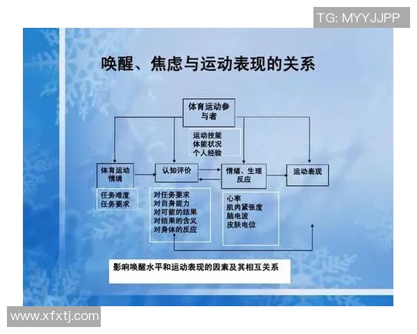 运动心理学在提升运动表现与心理调适中的应用与研究探讨